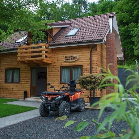 Bear'S Lair Chalet Porumbacu de Sus Eksteriør billede
