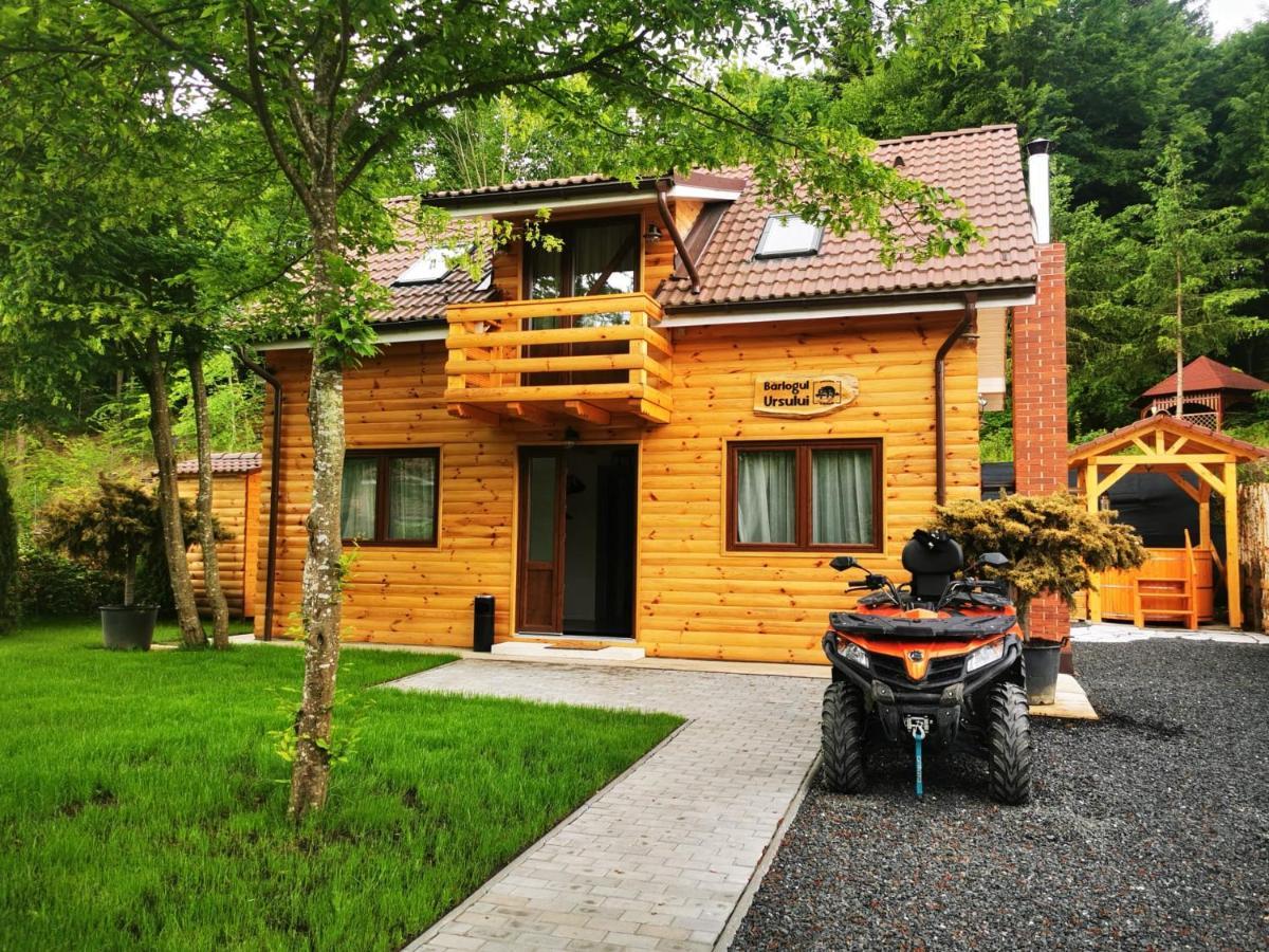 Bear'S Lair Chalet Porumbacu de Sus Eksteriør billede